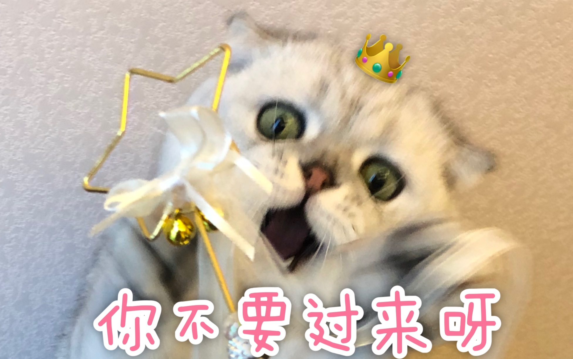 代表月亮消(狂)灭(亲)你(你) 啾啾啾