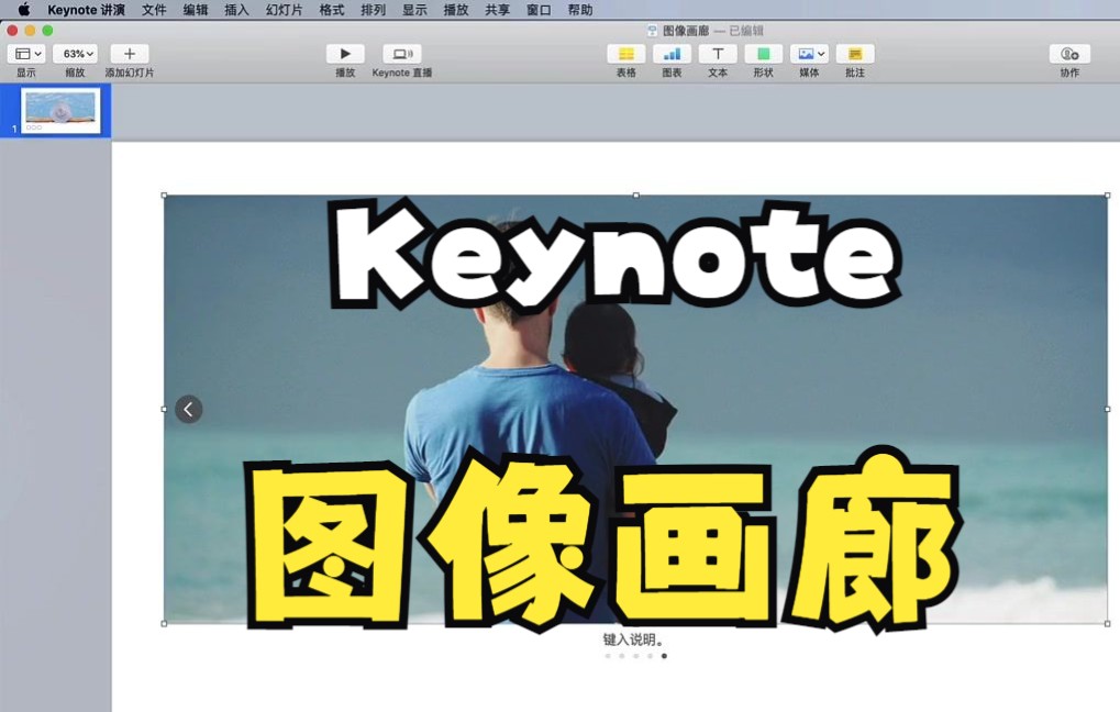 【Keynote技巧】教你零基础使用keynote的图像画廊,你学你也会.哔哩哔哩bilibili