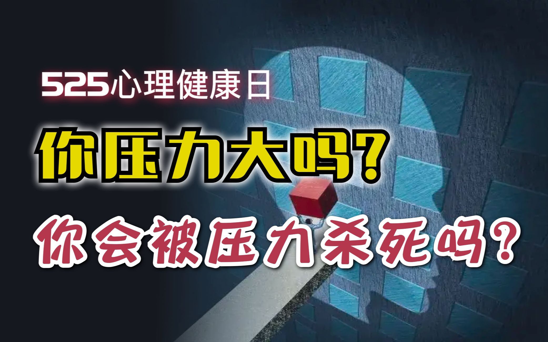 【马皑】你压力大吗?什么人会被压力杀死?【5.25心理健康日】哔哩哔哩bilibili