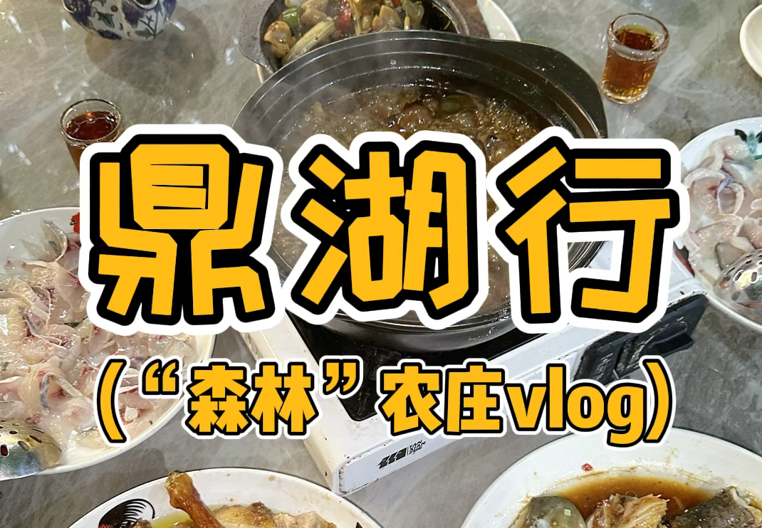 鼎湖行之“森林”农庄vlog哔哩哔哩bilibili