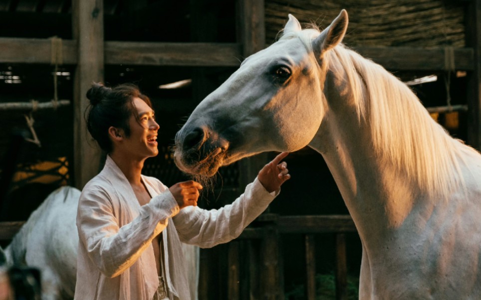 于适|"鲜衣怒马少年郎"