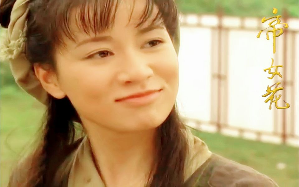 视频去哪了呢?_哔哩哔哩_bilibili