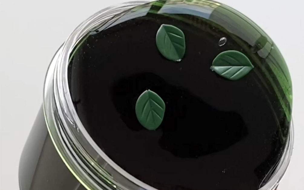 7eggslm黑到发绿还是绿到发黑