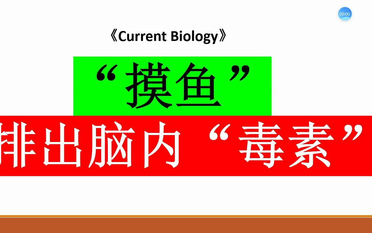 Current Biology—为什么我支持上班摸鱼?哔哩哔哩bilibili