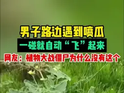 Download Video: 男子路边遇到喷瓜，一碰就自动“飞”起来，网友：植物大战僵尸为什么没有这个