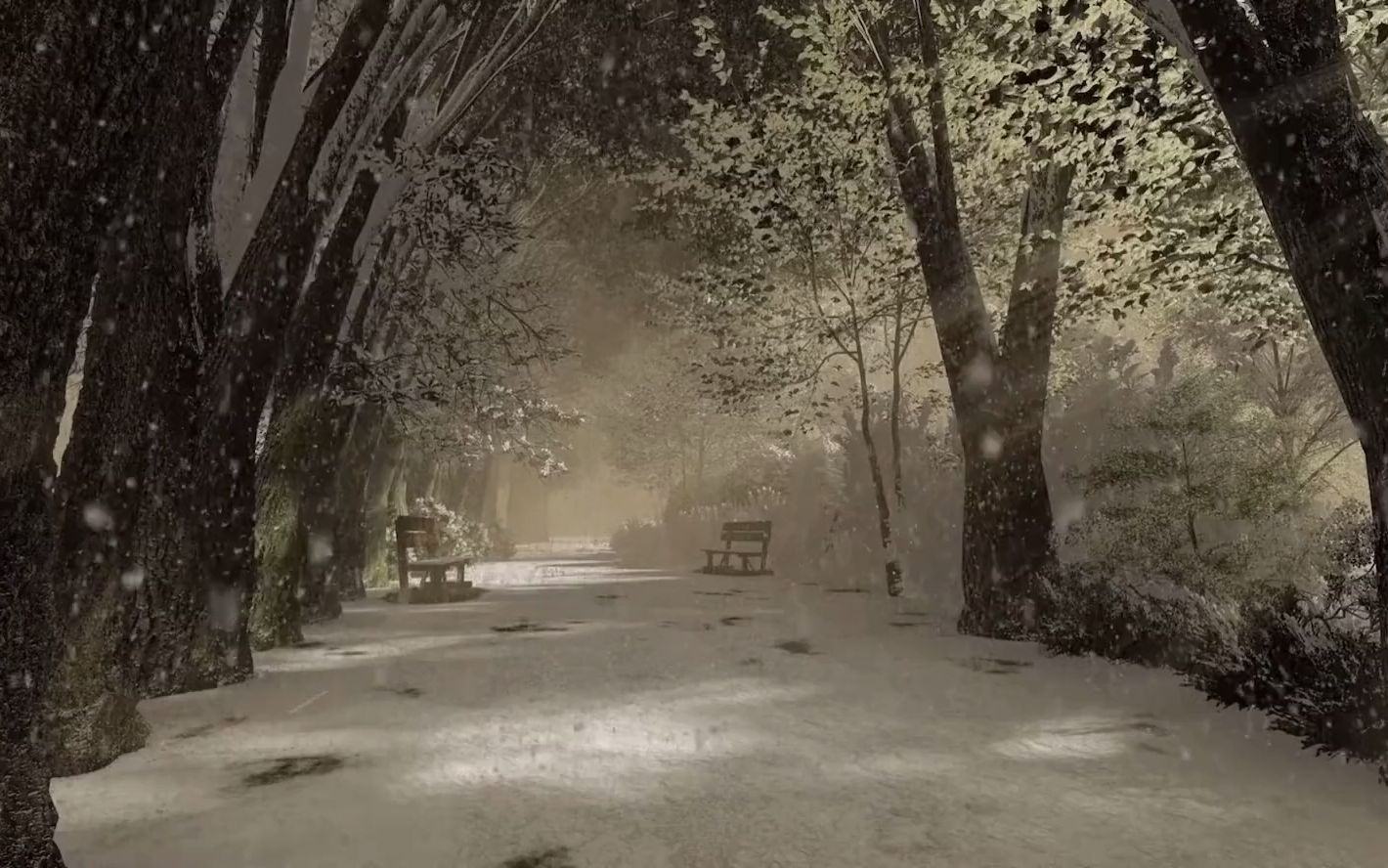 [图]2022年冬天的雪景，安静治愈的景象