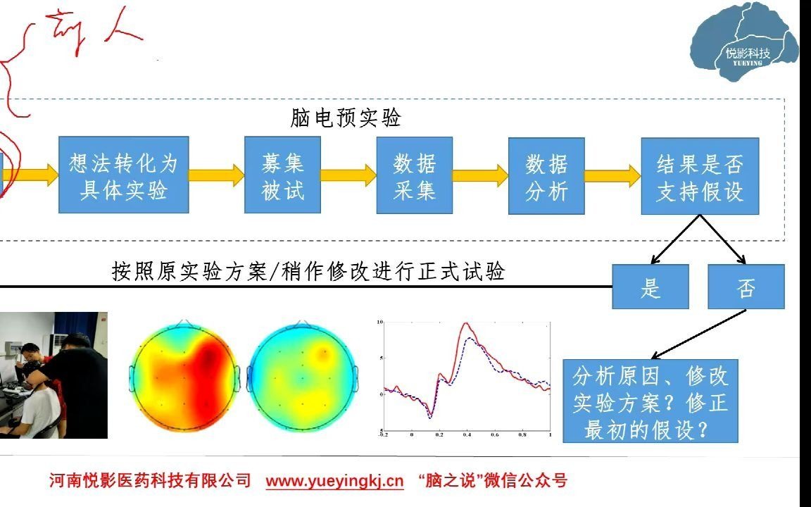 悦影科技EEG/ERP基础知识系列讲座第12讲:脑电研究的一般流程概述哔哩哔哩bilibili