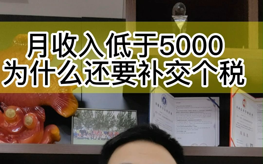 月收入5000为什么还交税哔哩哔哩bilibili