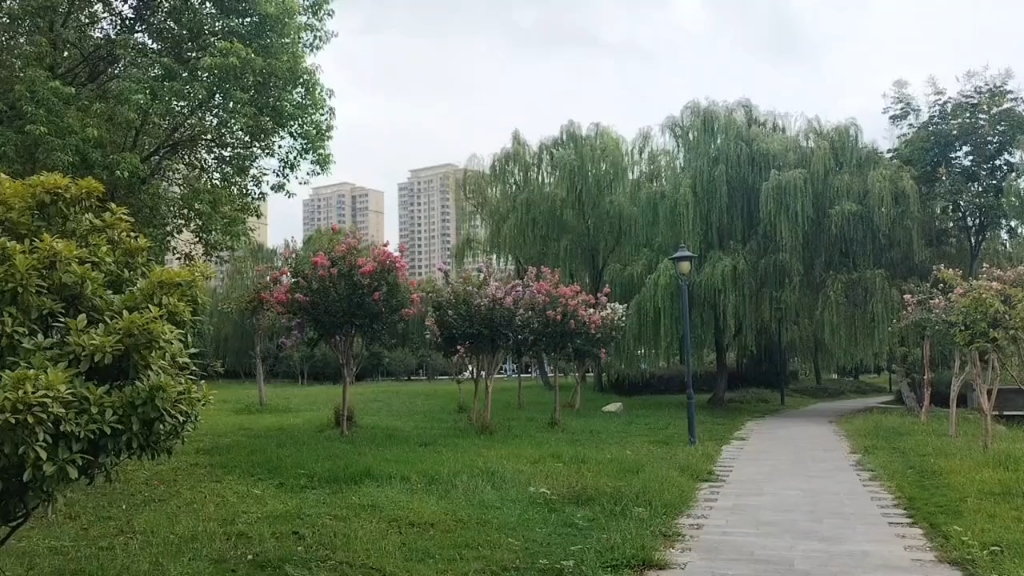 男性想要什么样的妻子?