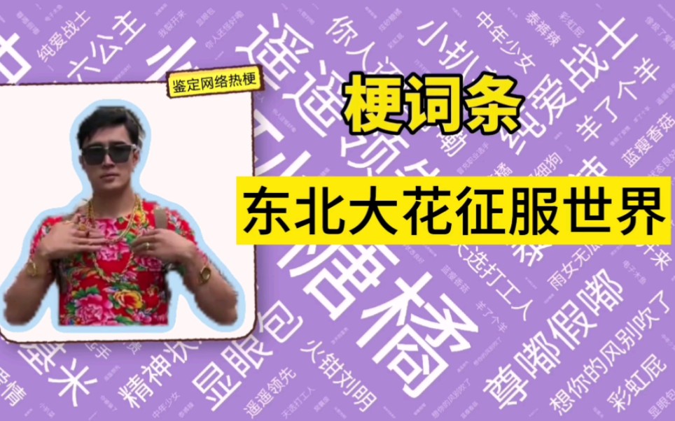 东北大花征服世界上什么梗?【梗词条】