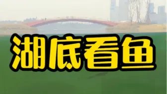 成都最大的水草缸 原生鱼缸