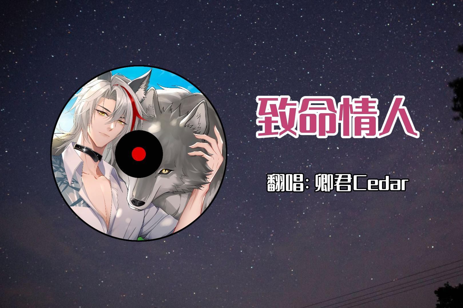 【卿君Cedar】直播歌切 《致命情人》哔哩哔哩bilibili