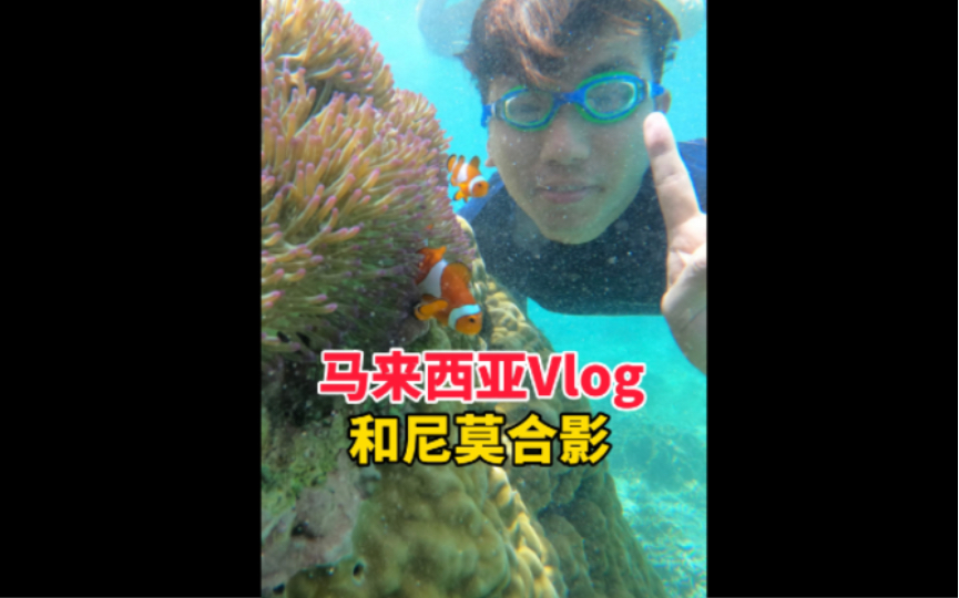 【马来西亚旅游Vlog】 我和尼莫合影了!第一次环滩岛浮潜体验哔哩哔哩bilibili