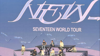 高橋由美子コンサートTenderly TOUR '94 （DVD） 高橋 由美子 | 高橋由美子コンサート Tenderly TOUR '94 （DVD
