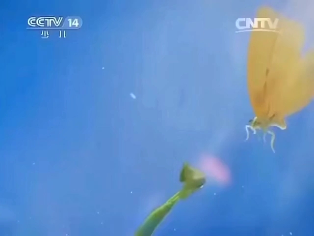 (架空)假如CCTV14在22时能重播开门大吉20140519哔哩哔哩bilibili