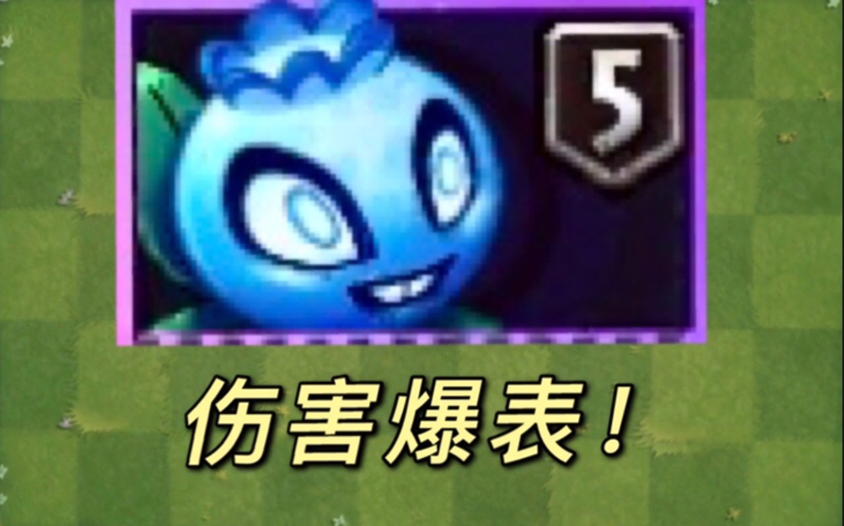 pvz25阶电击蓝莓到手啪的一下就把僵尸给秒了