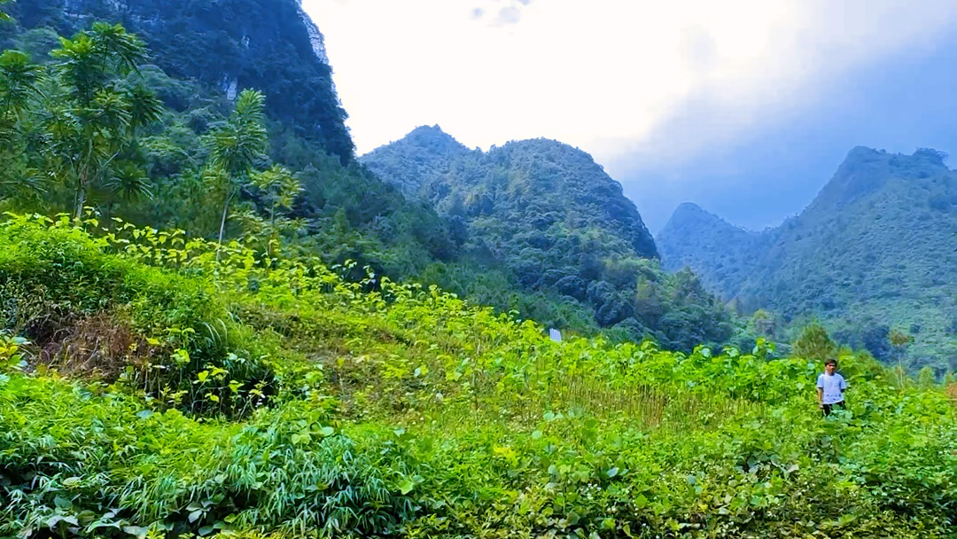 来看看山水风景嘛,清澈见底哔哩哔哩bilibili