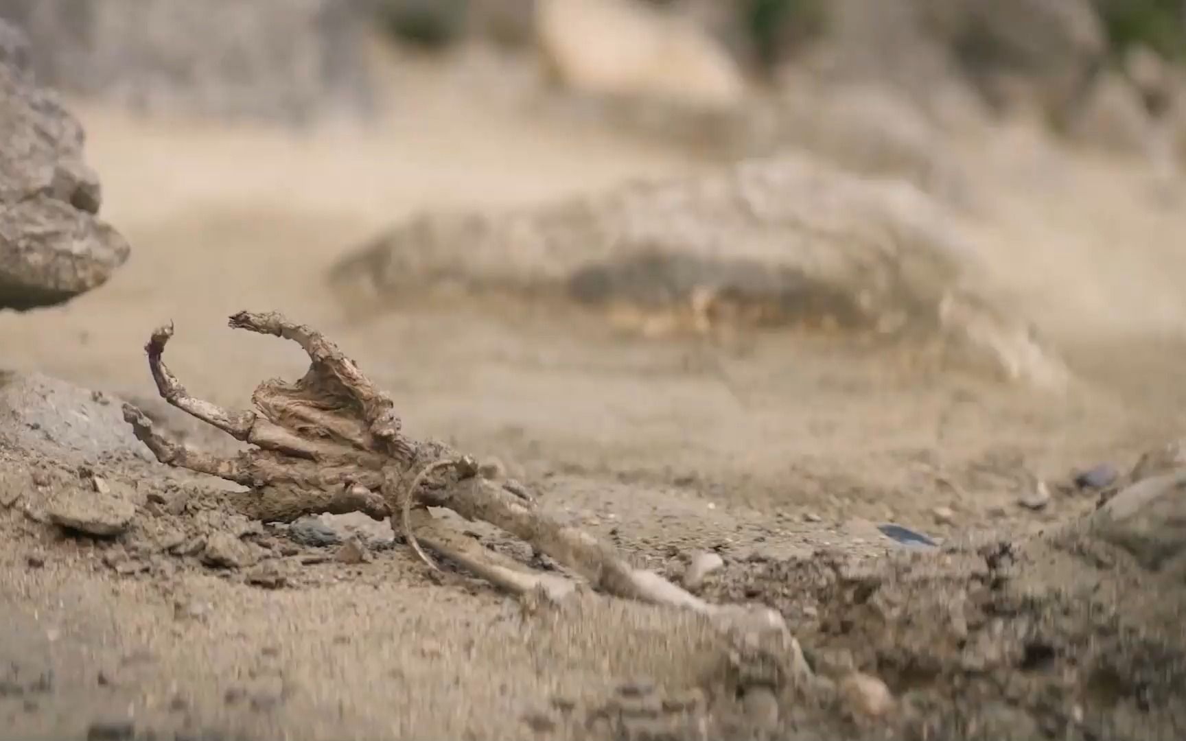 [图]精彩！豆瓣近9分的高开，脑洞大开的穿越与悬疑，网飞今年的神作