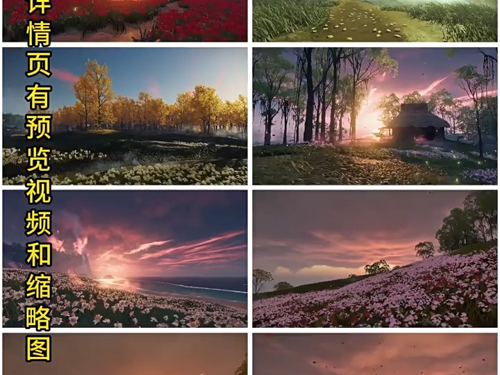 唯美治愈风景花海夕阳树林风花雪月动画场景背景短片剪辑视频素材