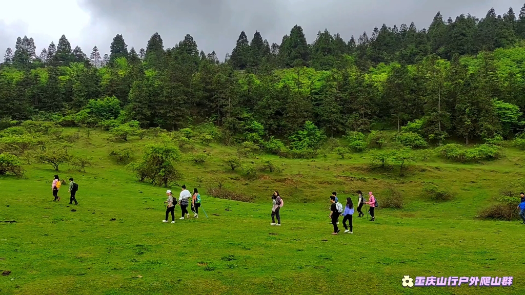 就是要徒步|重庆山行,风雨并行,余生漫长,请多指教#重庆山行户外爬山群哔哩哔哩bilibili