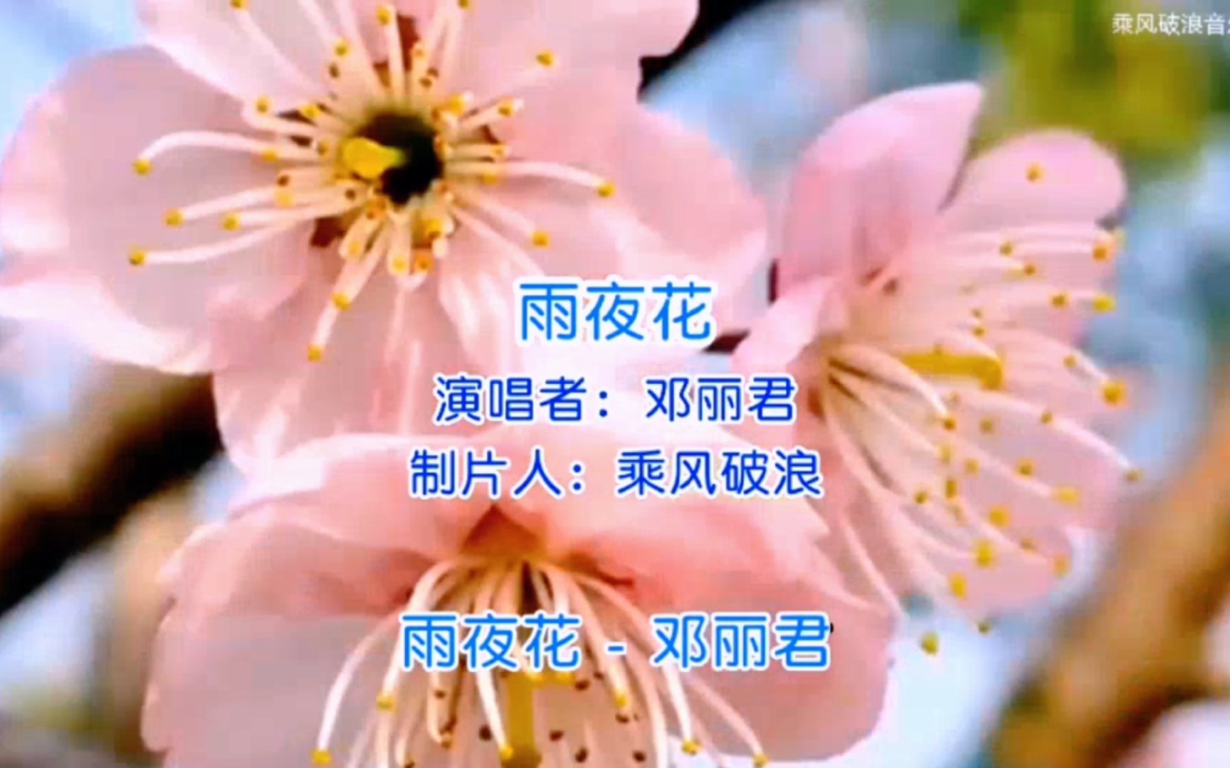 一代歌后演唱的经典闽南语歌曲《雨夜花》-邓丽君