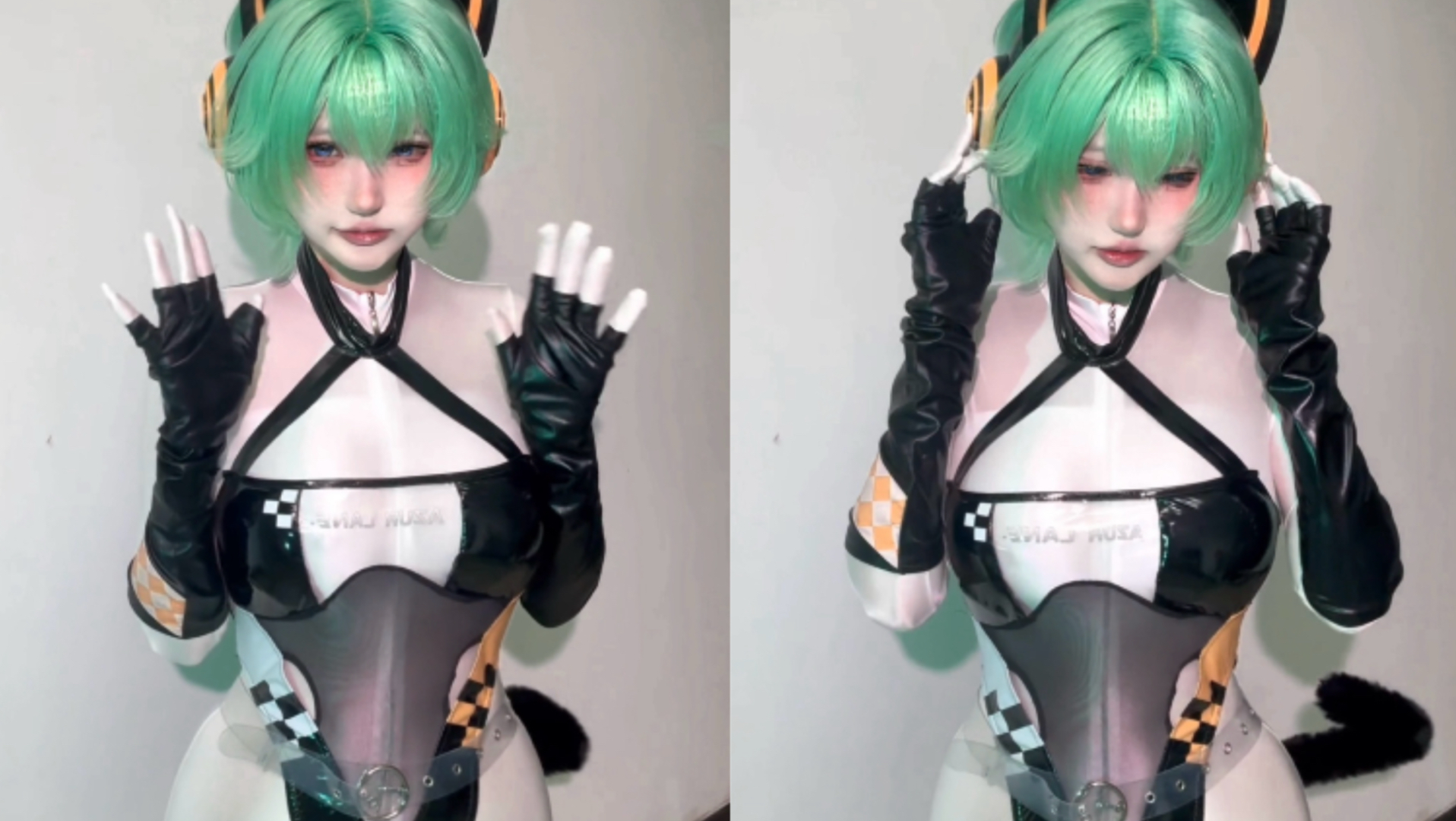 害羞小猫