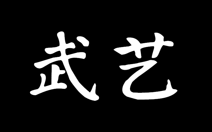 【大成拳】王选杰合集