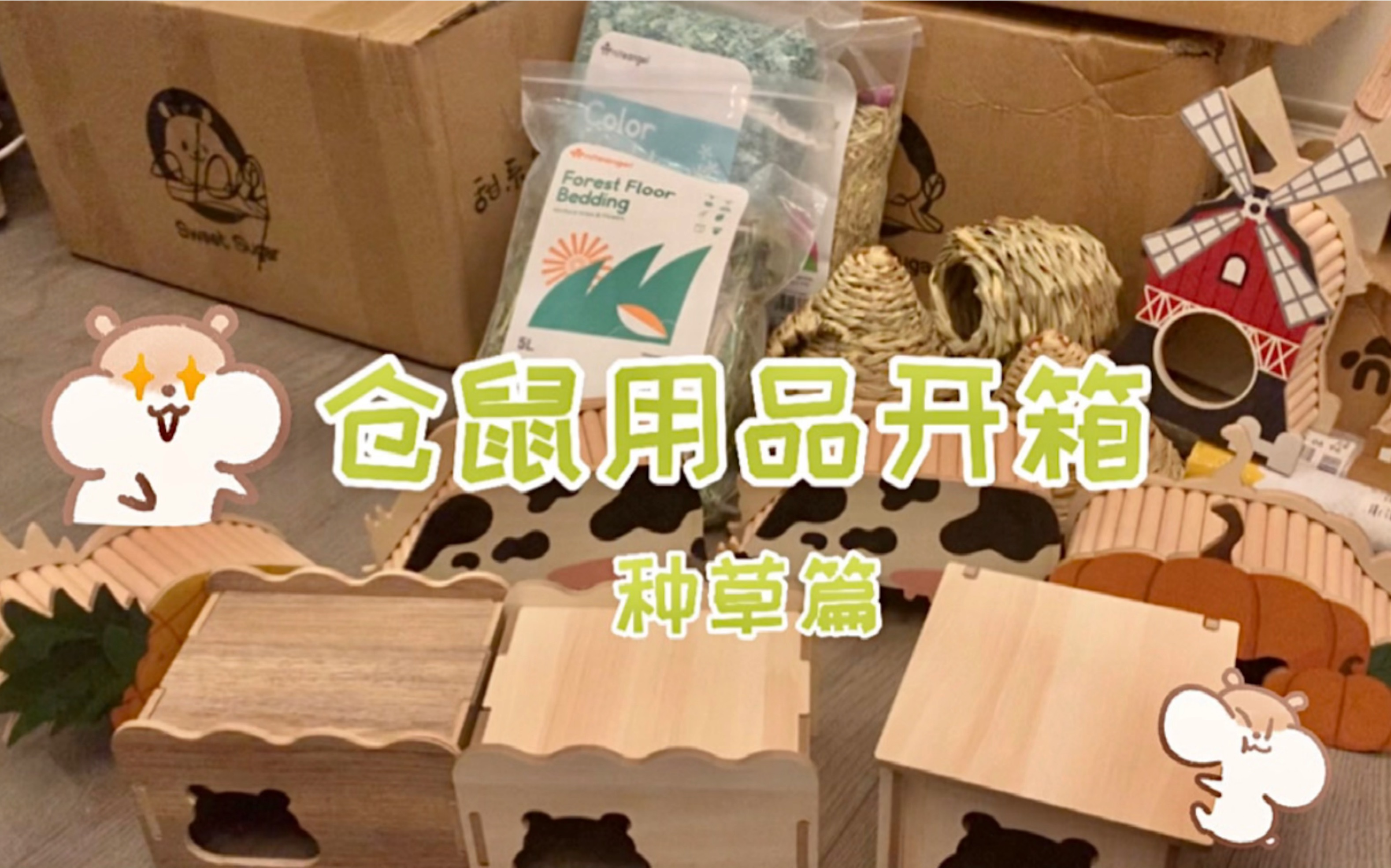 【仓鼠用品开箱】造景垫料丨躲避屋太好看了!哔哩哔哩bilibili