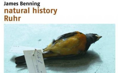 【无对白纪录片】自然史 Natural History 2014【长镜头】哔哩哔哩bilibili