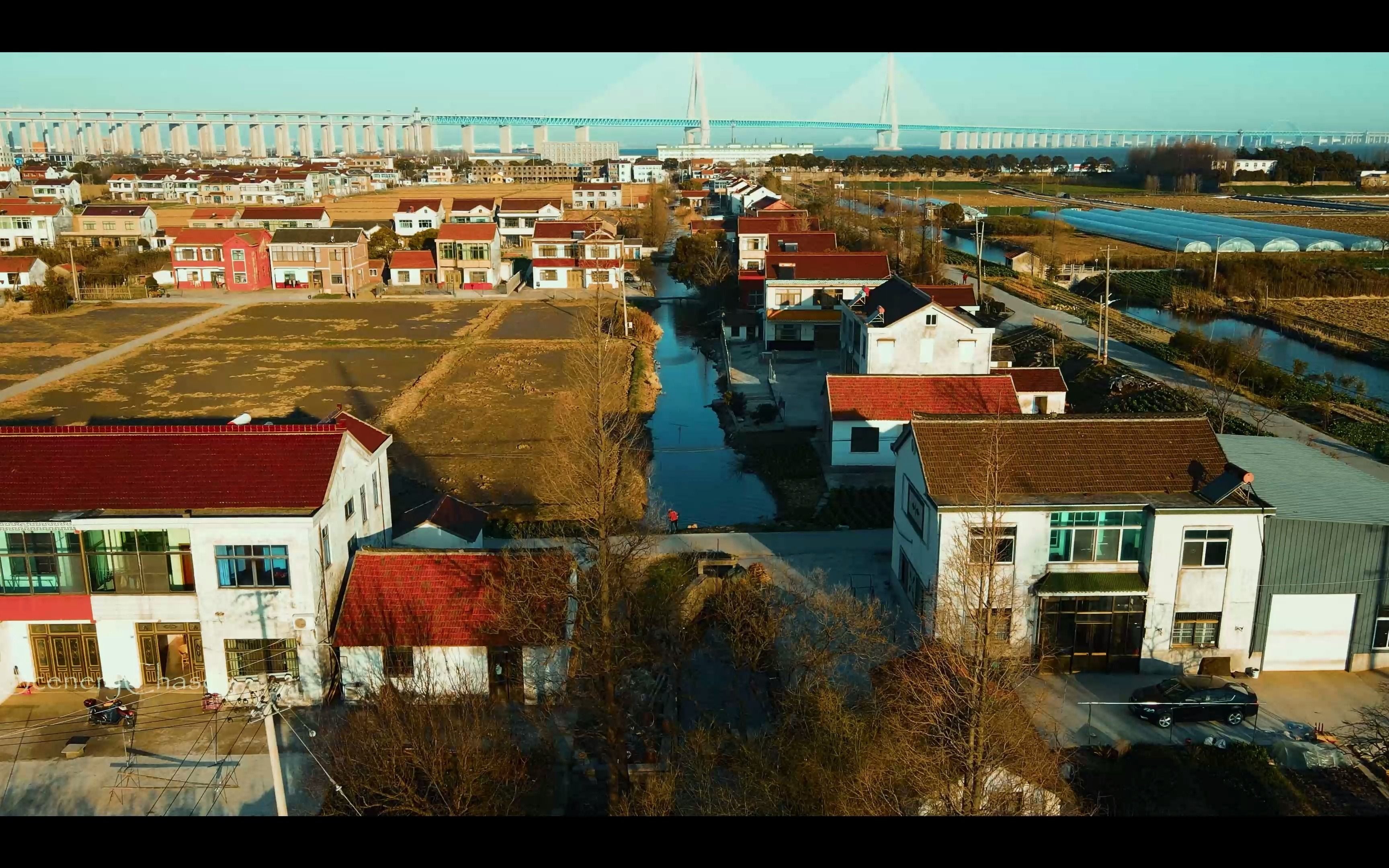航拍张家港乐余镇,江南水乡,毗邻长江,江苏的乡村看起来好富裕