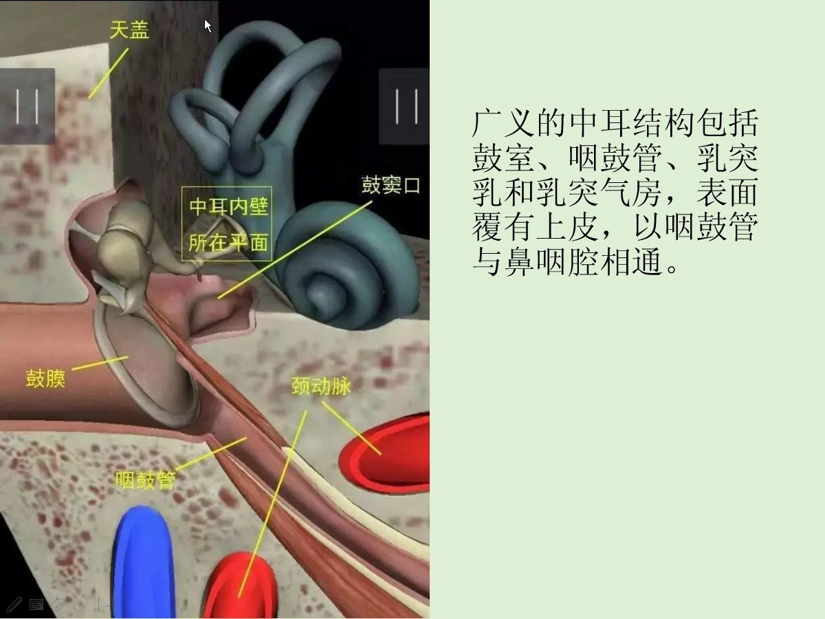 中耳解剖与常见疾病影像诊断哔哩哔哩bilibili