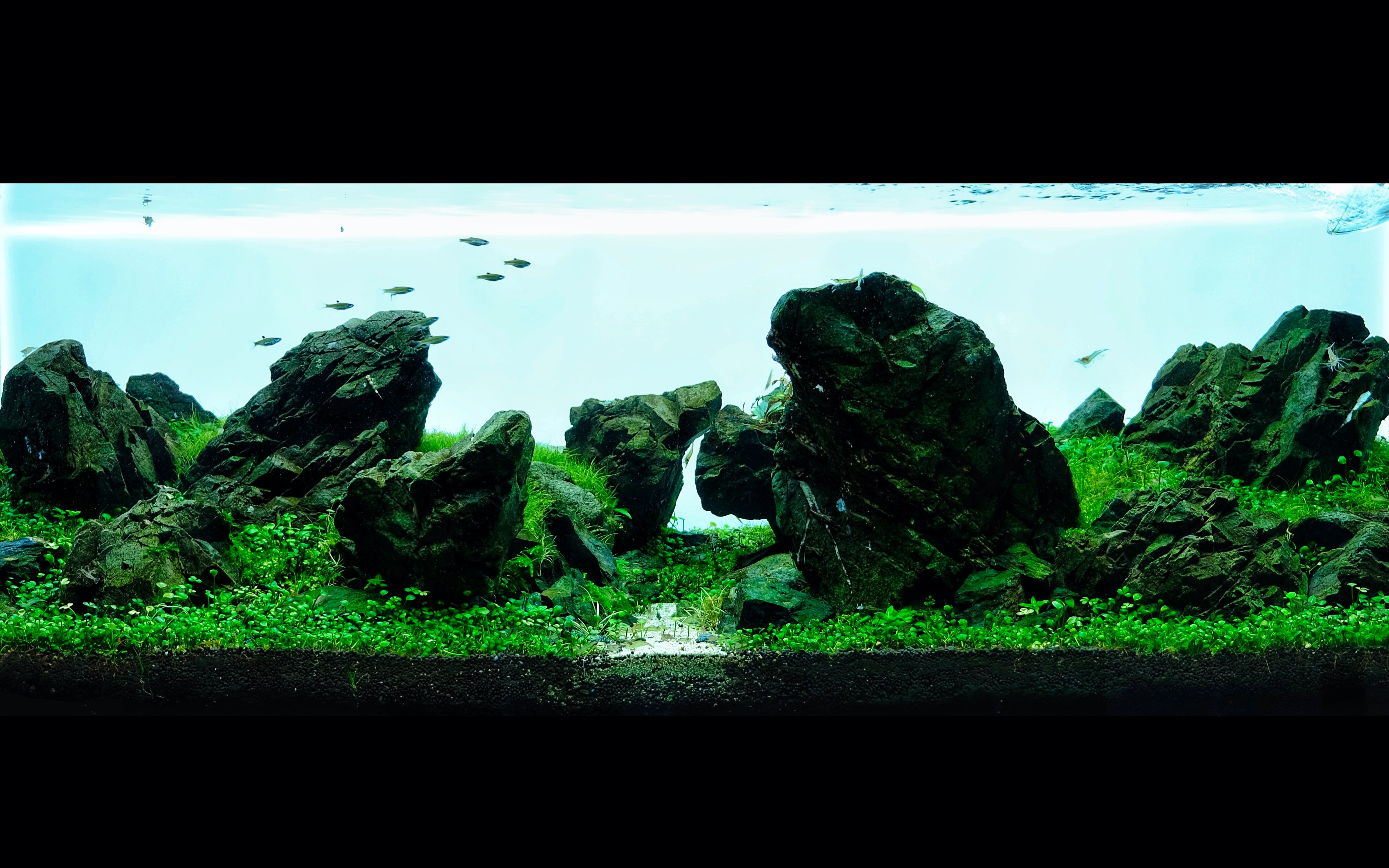 ada万天石岩组造景120p