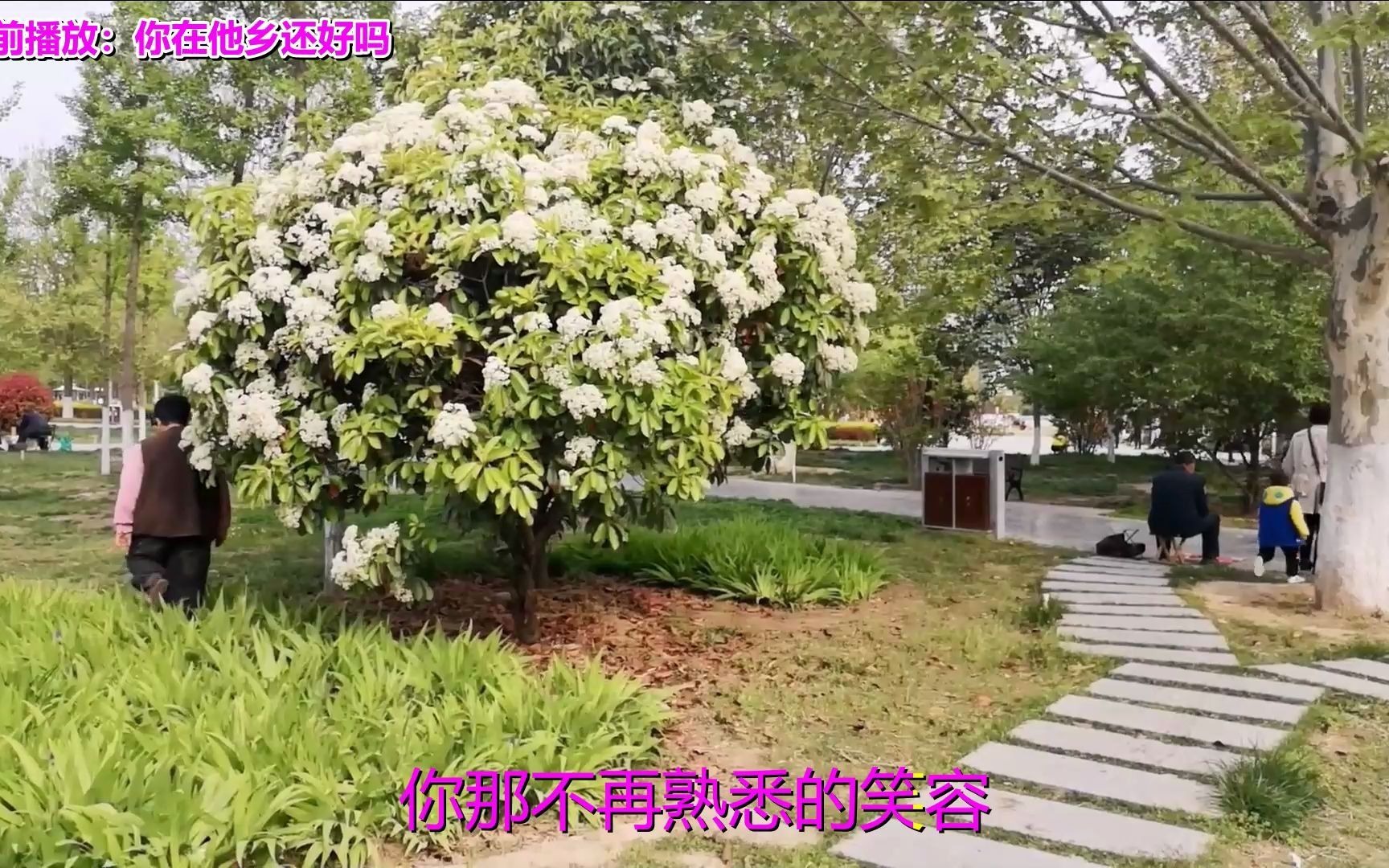 [图]经典老歌光头李进的成名曲《你在他乡还好吗》,献给在外打拼的朋友 感染力绝非一般