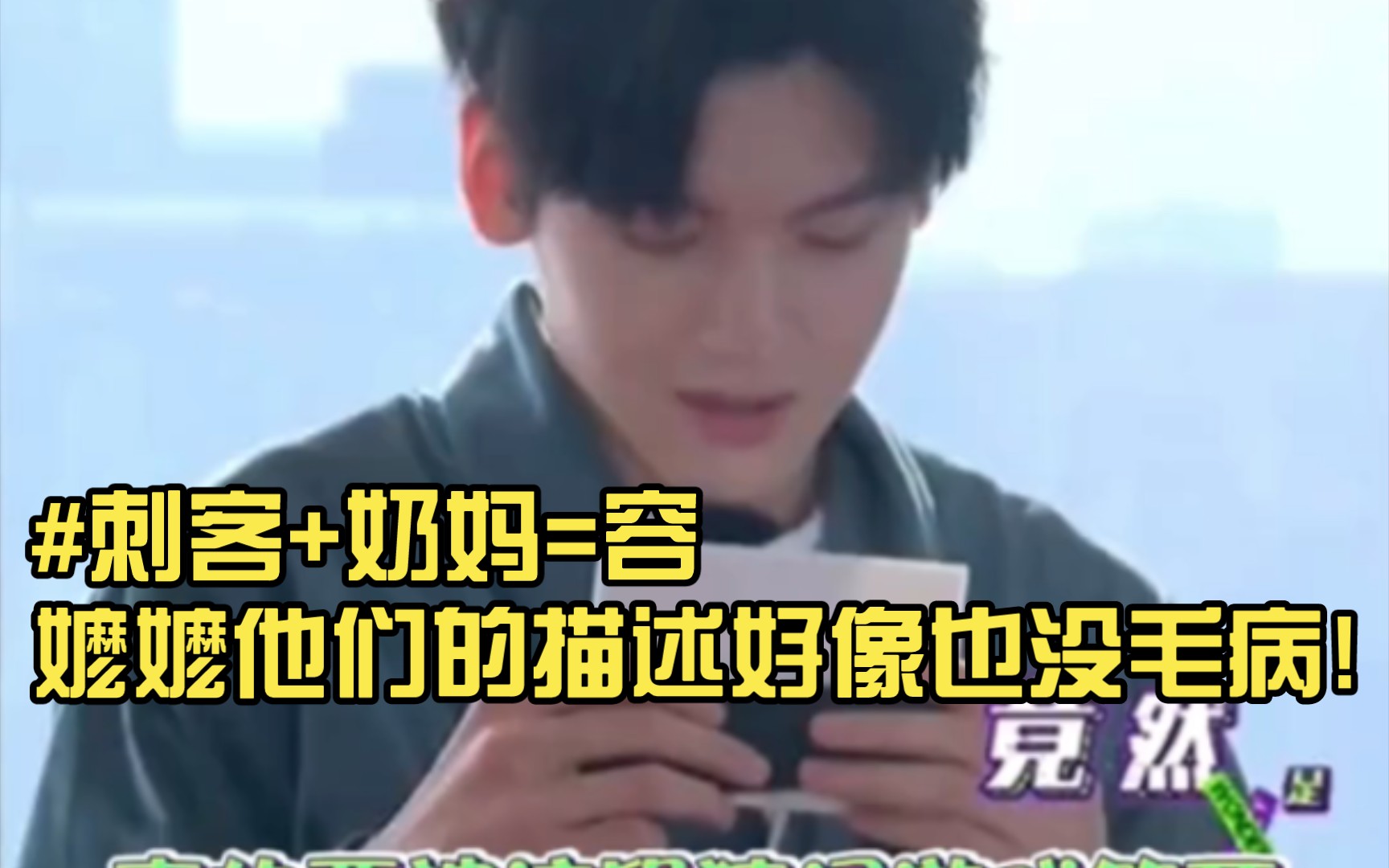 刺客 奶妈=容嬷嬷他们的描述好像也没毛病!