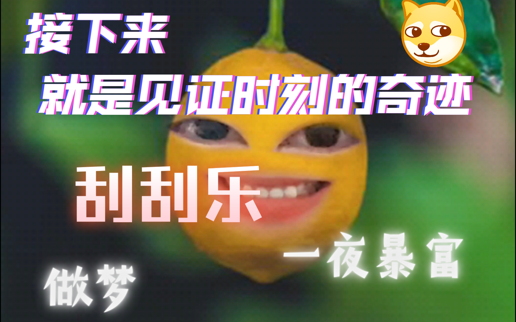 家人们,接下来就是见证时刻的奇迹,一夜暴富!(bushi)