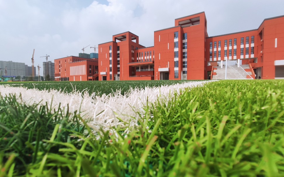 蜂鸟,虽然微小,但不渺小 致济南育华中学17级6班_哔哩哔哩_bilibili