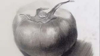 【素描教学】零基础素描静物教学，西红柿的画法