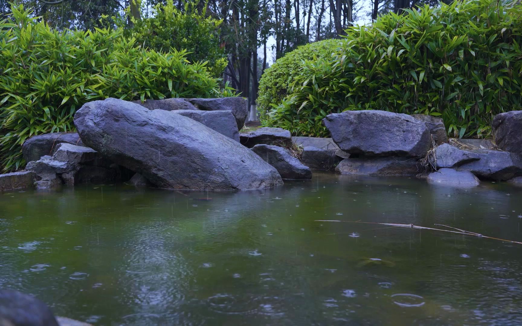 [图]夜半无眠听雨声，小水潭的溪流和雨声,白噪音，雨声~