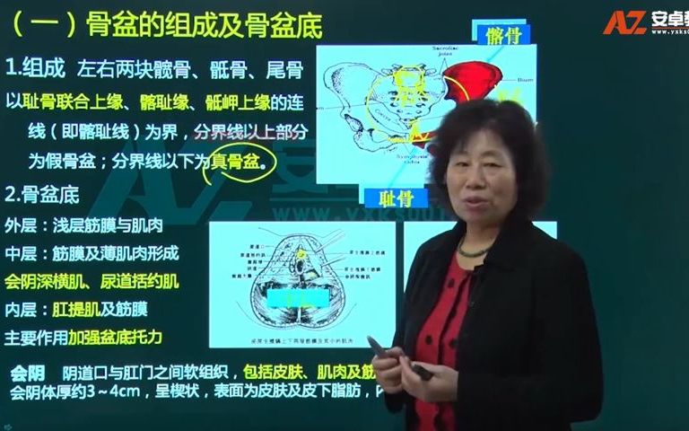 [图]02.妇产科护理学：第1章02女性生殖系统解剖生理