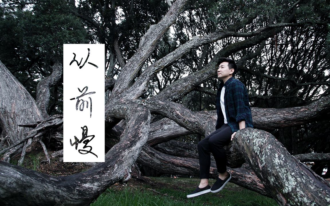 从前慢刘胡轶joeychencover