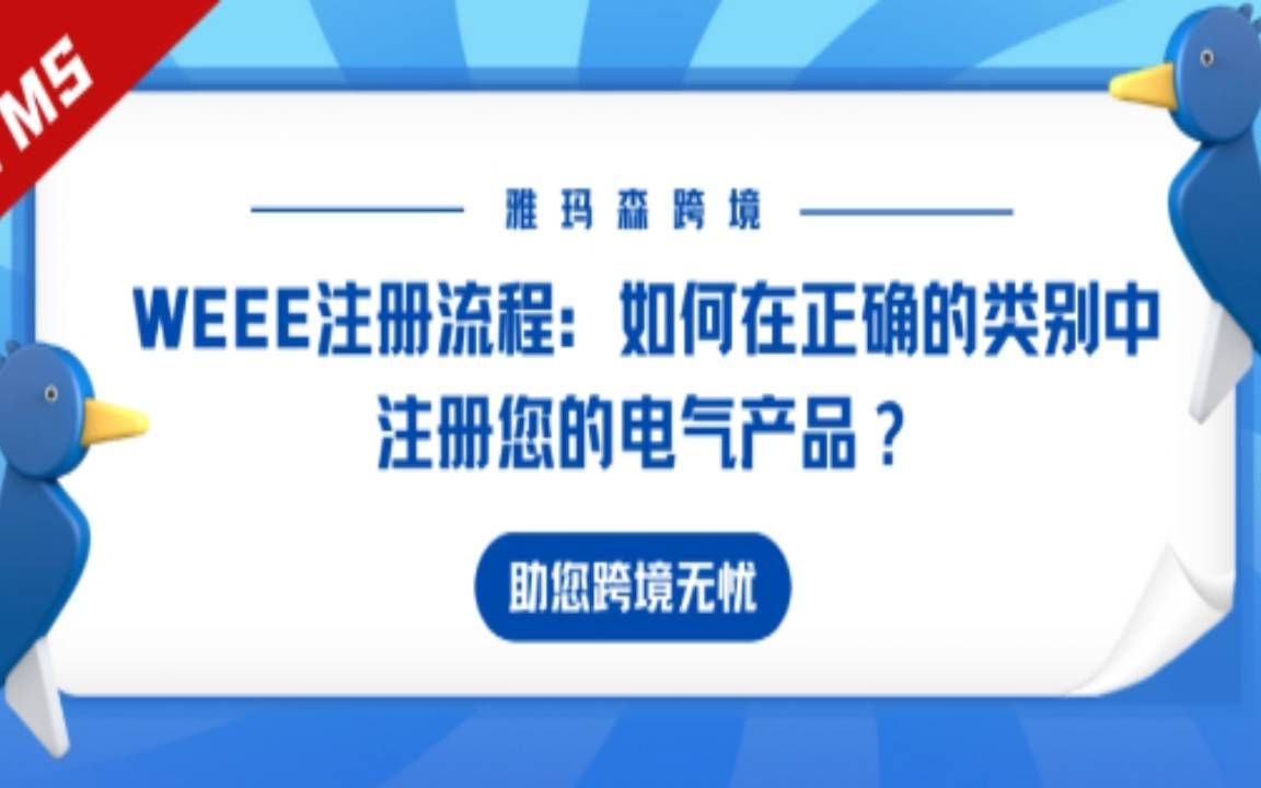 WEEE 注册流程:如何在正确的类别中注册您的电气产品?#德国WEEE#电气产品哔哩哔哩bilibili