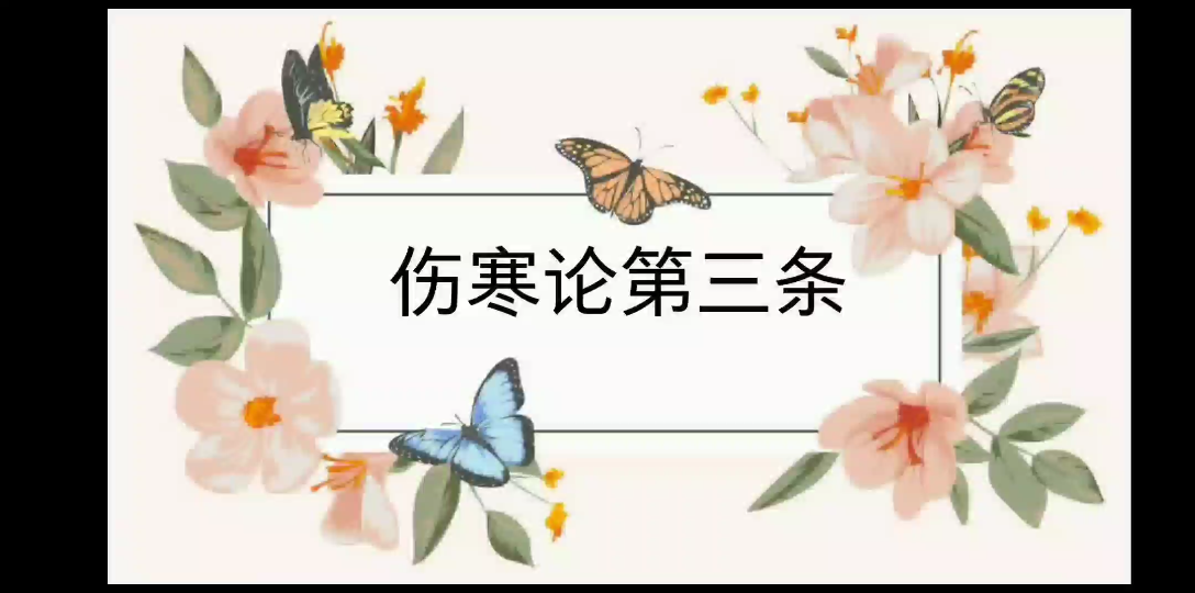 【伤寒】3伤寒哔哩哔哩bilibili