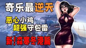 Descargar video: 这可能是全网最细的奇乐的全地图教学了【新森寒冬港篇】