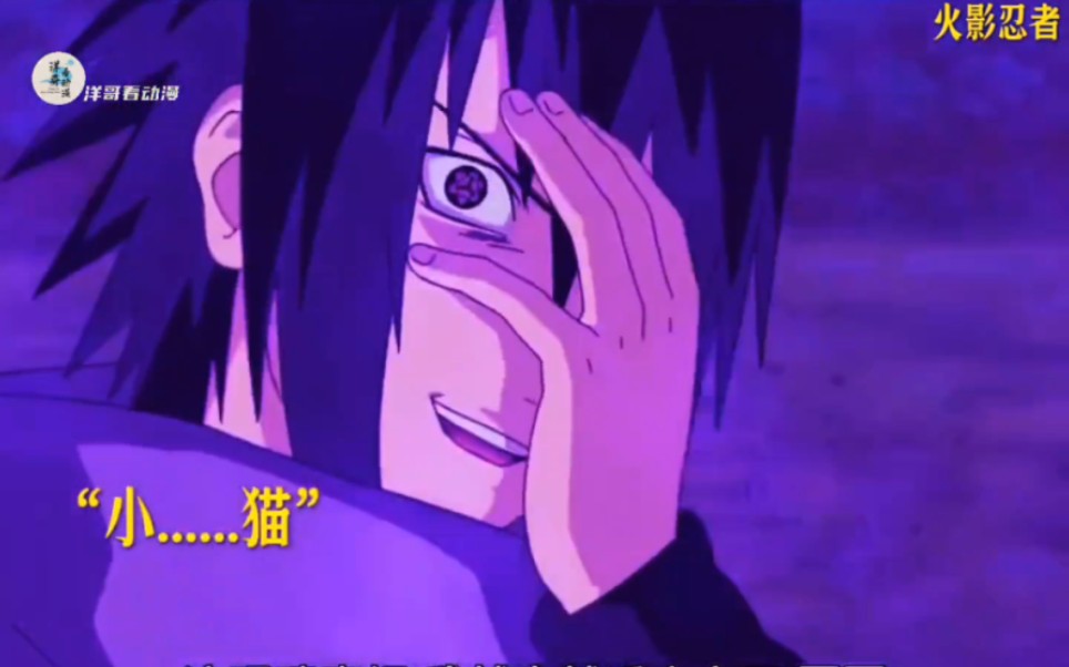 佐助成功移植了鼬的眼睛 写轮眼变成了永恒万花筒