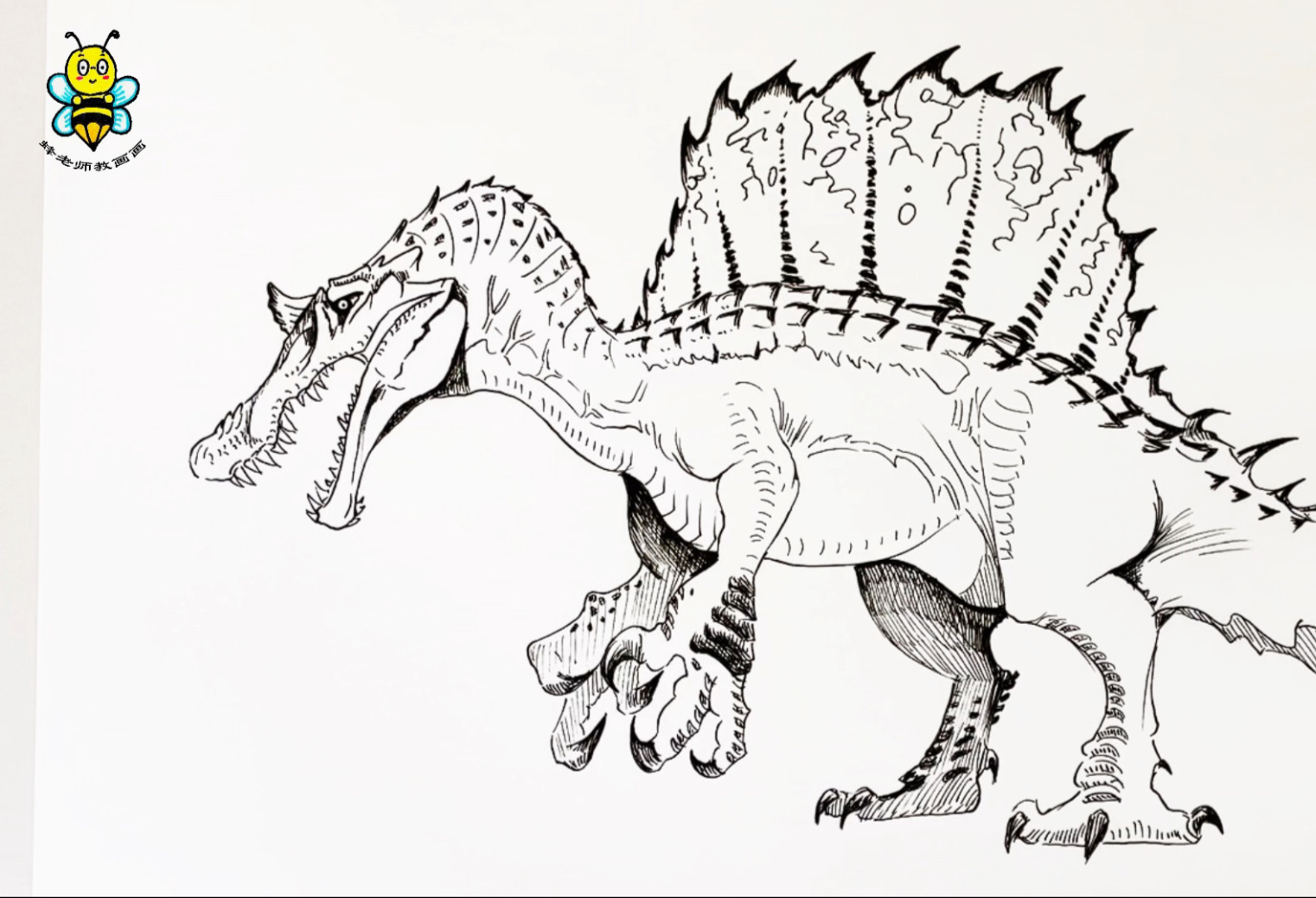 画埃及棘龙,手绘恐龙教程