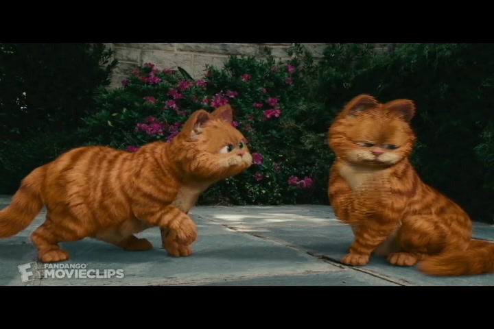 【Garfield】加菲猫经典片段哔哩哔哩bilibili