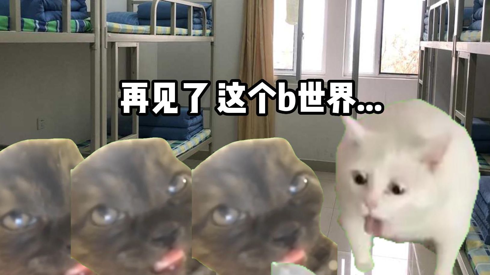 [图]【猫meme】战 螂 3