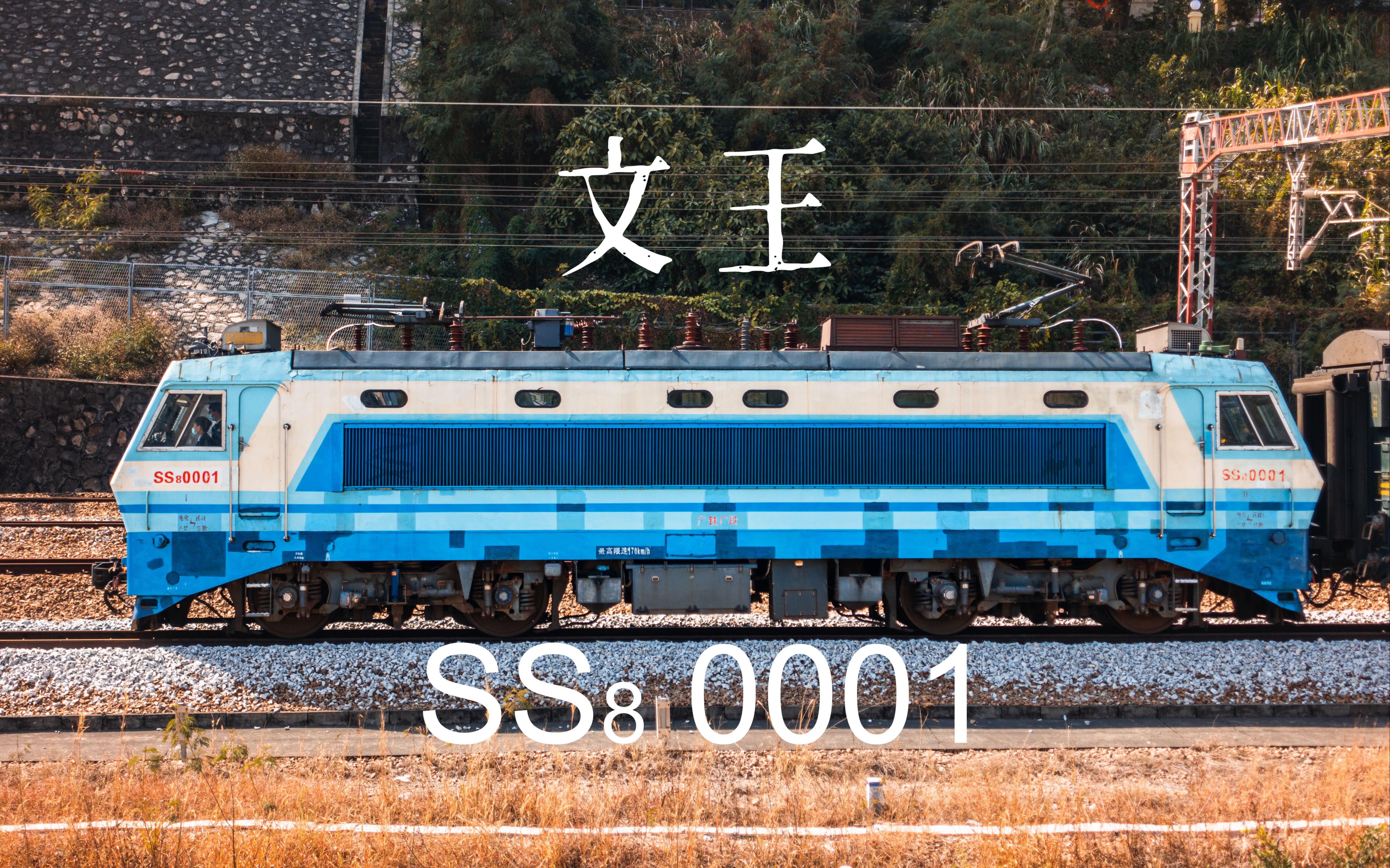 中国铁路深圳东经典机位与海军陆战队涂装的文王ss80001相遇