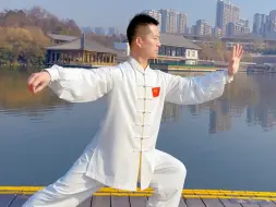 Descargar video: 24式太极拳