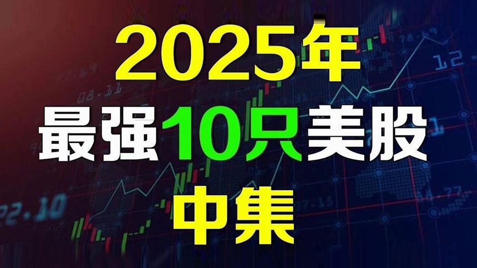 2025年最强10只美股【中集】不为人知的AI公司!哔哩哔哩bilibili